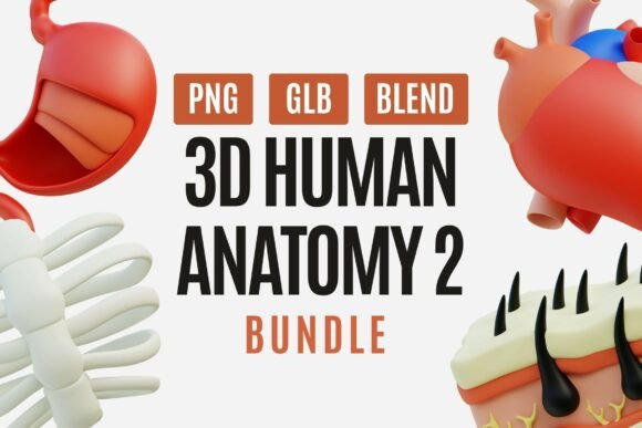 Human Anatomy 3D Model Pack 02: A Modern Toolkit for Visual Science